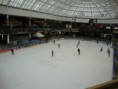 /album/fotogaleria2/edmonton003-jpg/